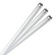 Light Bulbs